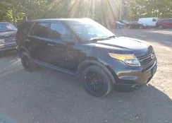 1FM5K8AR6EGA70768: 42287875