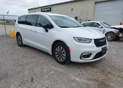 2C4RC1S75RR103836: 42293507