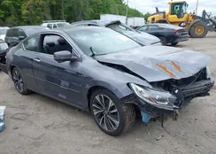 1HGCT1B79GA005580: 42299442