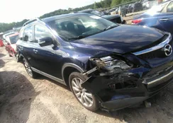 JM3TB28A490167384: 42303531