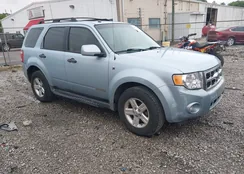 1FMCU59H08KC38014: 42304980