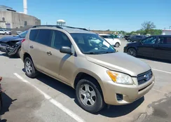 JTMBF4DVXAD036910: 42307435