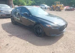 JM1BPAKM8S1752519: 42313387