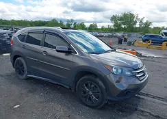 5J6RM4H74CL012850: 42313396