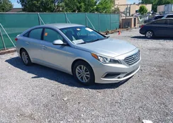 5NPE24AF8GH366487: 42314338