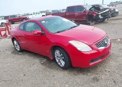 1N4BL24E99C104876: 42314532