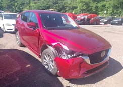 JM3KFBBL1R0504054: 42313908