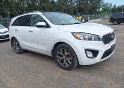 5XYPKDA56HG310105: 42315392