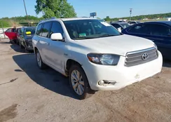 JTEEW44A092033656: 42316677