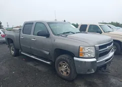 1GCHK23658F226875: 42318275