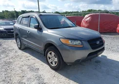 5NMSG13D79H261406: 42318424