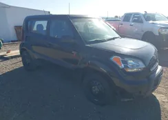 KNDJT2A17B7203038: 42324311