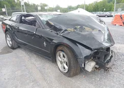 1ZVHT80NX85119660: 42323924