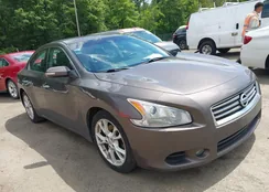 1N4AA5AP3DC809223: 42329297