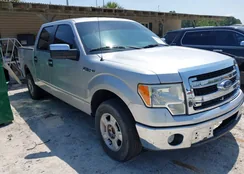 1FTFW1CF7EKD93151: 42329436