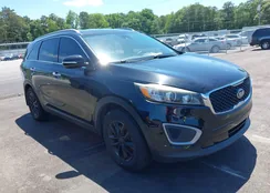 5XYPG4A33HG285423: 42334698