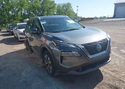 5N1AT3BB2MC823699: 42337056