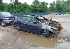 1N4AA6AP4GC384377: 42344244