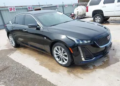 1G6DN5RW6L0149883: 42344019