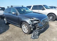 WA1LFBFP0FA009872: 42348291