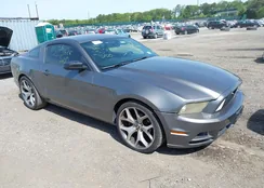 1ZVBP8AM1D5269392: 42364231