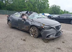 JM1GL1V52H1114331: 42364597