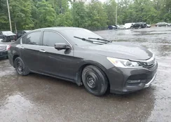 1HGCR2F92GA151772: 42365143