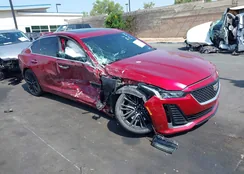 1G6DN5RW1P0121379: 42374742