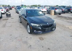 WBA1F9C52GV544380: 42377118