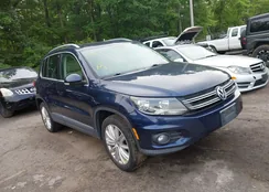 WVGAV3AX3DW561245: 42380283