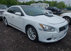 1N4AA5AP5BC835934: 42381336