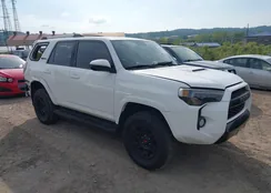 JTEBU5JR5F5254043: 42383342