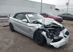 WBA1K9C55GV710399: 42384947