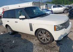 SALMF1D48AA314650: 42393293