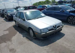 ZAREA43L4M6183217: 42400315