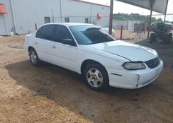 1G1ND52F95M215328: 42401427