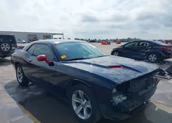 2C3CDZAG9KH503434: 42403216