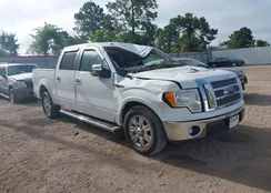 1FTFW1CF9BFA41452: 42404689