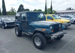 1J4FY19P2SP233956: 42407758