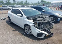 KNAFU6A28C5528181: 42411073