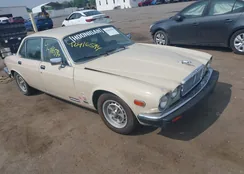 SAJAV1341GC431953: 42416594