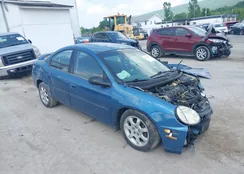 1B3ES56C53D253571: 42423326