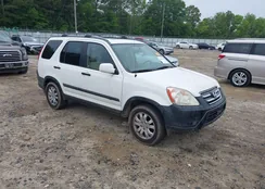 SHSRD78835U343353: 42426242