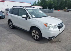 JF2SJAJC9EH498195: 42428751