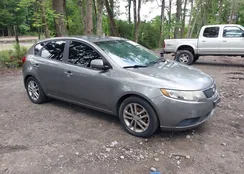 KNAFU5A2XB5386294: 42431453