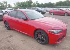 ZARFANAN1K7598906: 42435324