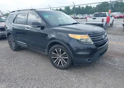 1FM5K8F81DGB20765: 42439312