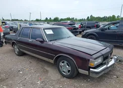 1G1BN54E9LR104492: 42442260