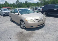 4T1BK46KX7U512527: 42445854