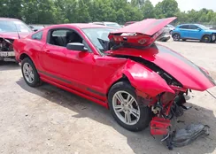 1ZVBP8AMXD5238478: 42445376